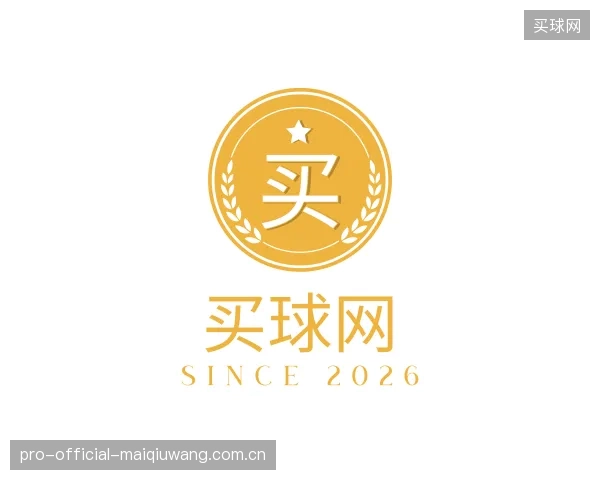 解读买球网公司